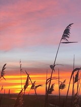 Ferienwohnung in Zingst - Sehnsuchtsort - Bild 24