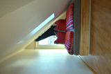 Ferienwohnung in Zingst - Sehnsuchtsort - Bild 13