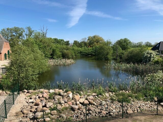 Ferienhaus in Fehmarn OT Gammendorf - Ferienhof Micheel - Bild 18