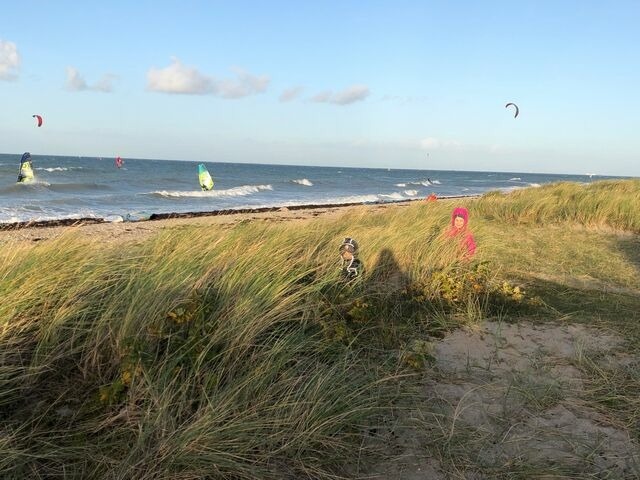 Ferienhaus in Fehmarn OT Gammendorf - Ferienhof Micheel - Bild 22