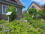 Ferienwohnung in Kellenhusen - FeWo "mittlere Auszeit" - Bild 12