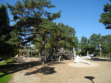 Ferienwohnung in Baabe - Strandvilla Baabe 18 - Strandgefl&uuml;ster - Bild 17