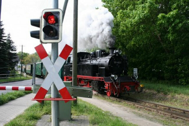 Ferienwohnung in Sellin - Fische - Sellin - Bild 18