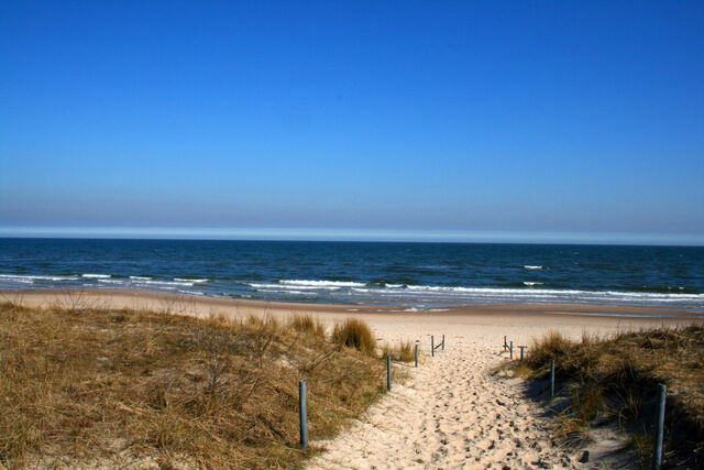 Ferienhaus in Baabe - Austernperle - Baabe - Bild 20
