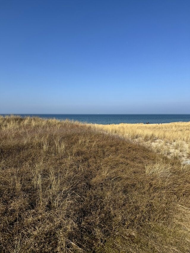 Ferienwohnung in Dierhagen - Meeresrauschen 03 - Bild 17