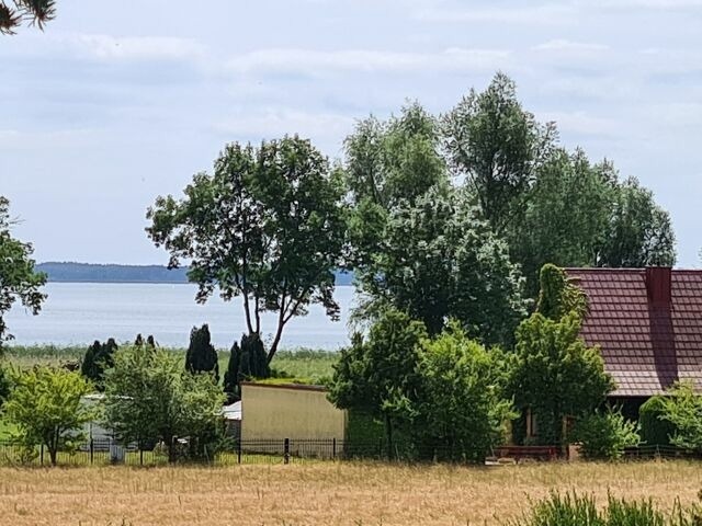 Ferienhaus in Lütow - Ferienhaus Köhler Am Achterwasser incl. Boootsvermietung/ Urlaub mit Hund - Bild 22