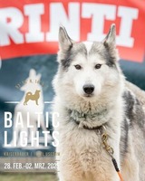 Ferienhaus in L&uuml;tow - Ferienhaus K&ouml;hler Am Achterwasser , Urlaub mit Hund - Bild 24