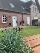 Ferienwohnung in Fehmarn OT Wulfen - Fru Hansen - Bild 16 Ferienwohnung in Fehmarn OT Wulfen - Fru Hansen - Bild 16