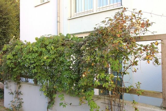 Ferienwohnung in Kühlungsborn - Strandjuwel 234 - Bild 18