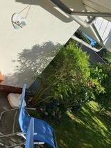 Ferienwohnung in Zingst - Fewo Kranich 36 - Bild 23