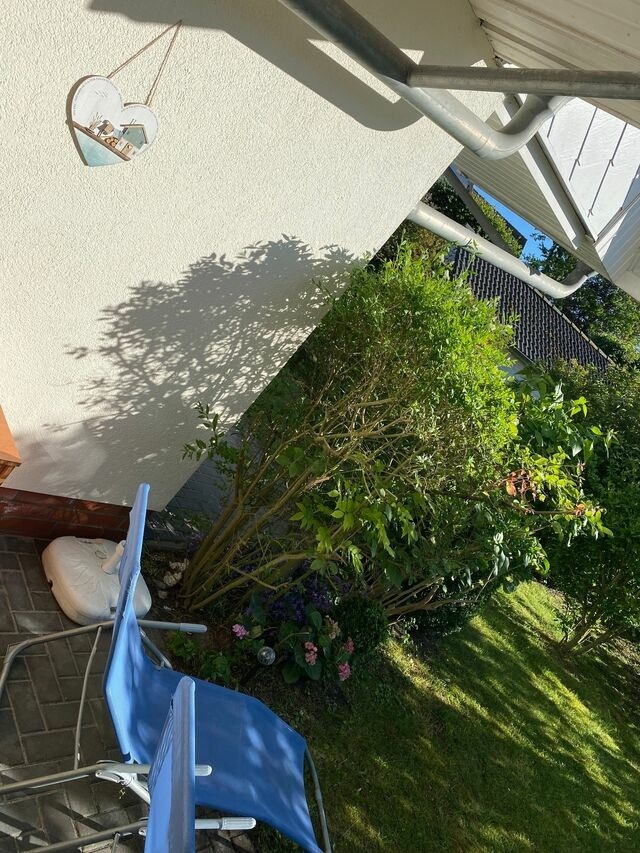 Ferienwohnung in Zingst - Fewo Kranich 36 - Bild 23