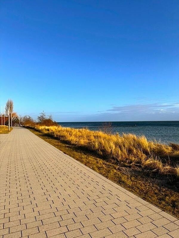 Ferienwohnung in Gro&szlig;enbrode - "Vier Jahreszeiten", Haus III, Wohnung 8 - Bild 15