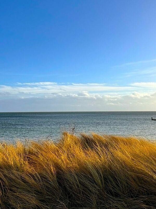 Ferienwohnung in Gro&szlig;enbrode - "Vier Jahreszeiten", Haus III, Wohnung 8 - Bild 16
