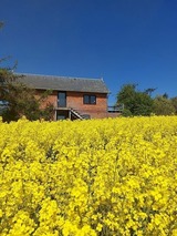 Ferienwohnung in Stoltebüll - Landschaftsblick - Bild 10