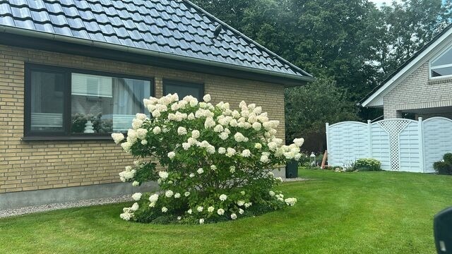 Ferienhaus in Rabenkirchen-Faul&uuml;ck - Ferienhaus Spatz - Bild 18