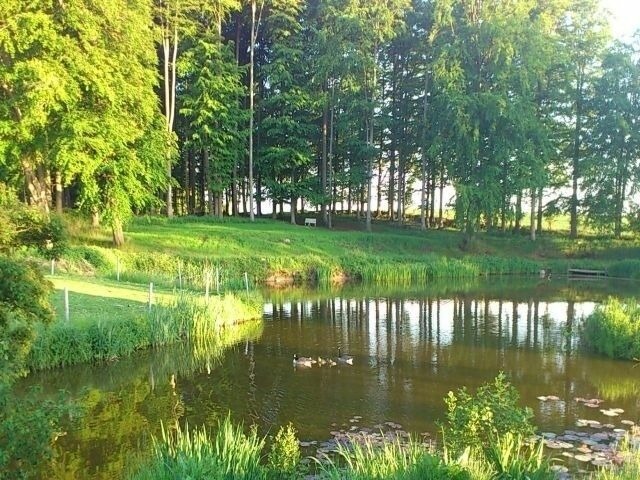 Ferienwohnung in Rieseby - Gut Büchenau - Ferienwohnung Meeresbrise - Bild 9