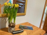 Ferienwohnung in Sieseby - Ferien bei Goos - Ferienwohnung "Gerste" - Bild 4