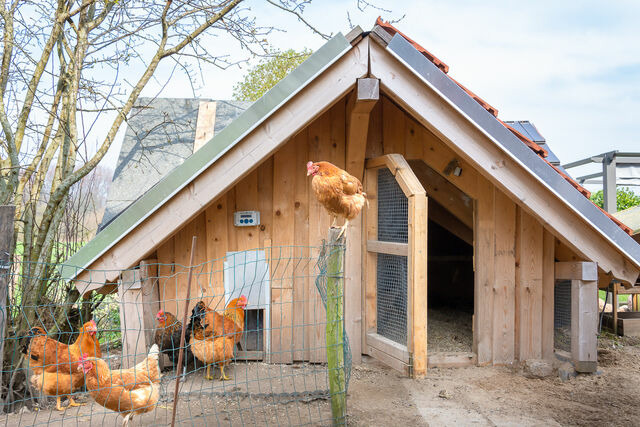 Ferienwohnung in Waabs - Ostseegarten Langholz - Ferienwohnung Sommerwiese (bis 4 Pers) - Bild 24