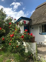 Ferienhaus in Kalifornien - Mon Repos - Bild 10 Ferienhaus in Kalifornien - Mon Repos - Bild 10