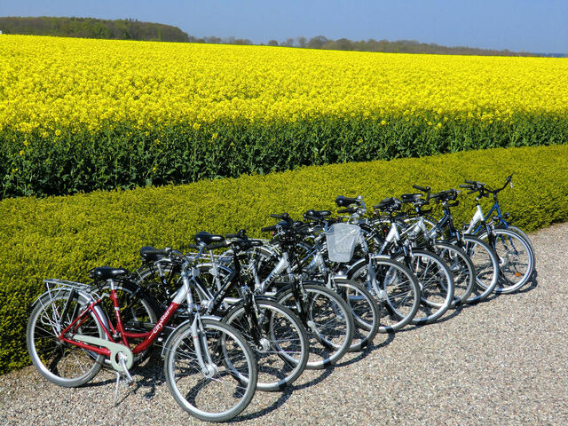 Ferienwohnung in Süssau - "Neubau-DHH" - Bild 13 Ferienwohnung in Süssau - "Neubau-DHH" - Bild 13