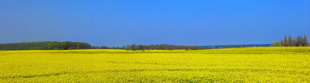 Ferienwohnung in Süssau - "Neubau-DHH" - Bild 17 Ferienwohnung in Süssau - "Neubau-DHH" - Bild 17