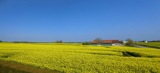 Ferienwohnung in Süssau - "Neubau-DHH" - Bild 20 Ferienwohnung in Süssau - "Neubau-DHH" - Bild 20