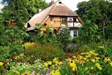 Ferienwohnung in Starkow - Ferienwohnung Irisgarten am Pfarrgarten Starkow - Bild 12