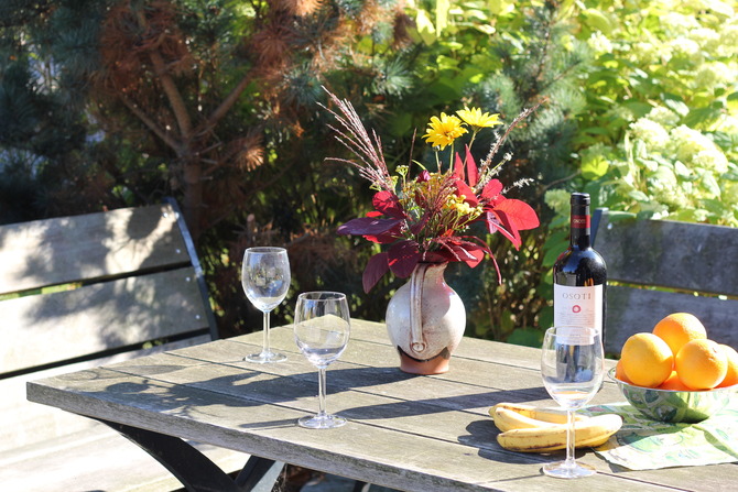 Ferienwohnung in Groß Schwansee - Fewo Seestern - Terrasse mit Morgensonne