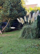 Ferienwohnung in Fehmarn OT Neue Tiefe - Ferienwohnung Albrecht - Bild 18 Ferienwohnung in Fehmarn OT Neue Tiefe - Ferienwohnung Albrecht - Bild 18