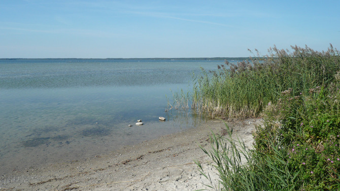 Ferienwohnung in Sassnitz - Kreidefelsen mit Balkon - Hundestrand