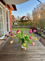 Ferienwohnung in Zingst - Magister Wigbold 3.1 - Bild 23