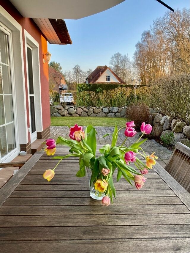 Ferienwohnung in Zingst - Magister Wigbold 3.1 - Bild 23