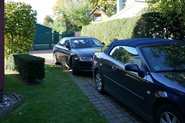 Ferienwohnung in Zingst - Magister Wigbold 3.1 - Bild 25