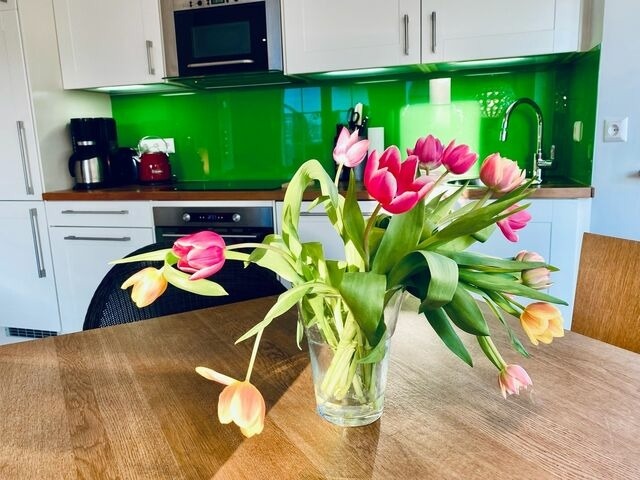 Ferienwohnung in Zingst - Magister Wigbold 3.1 - Bild 7