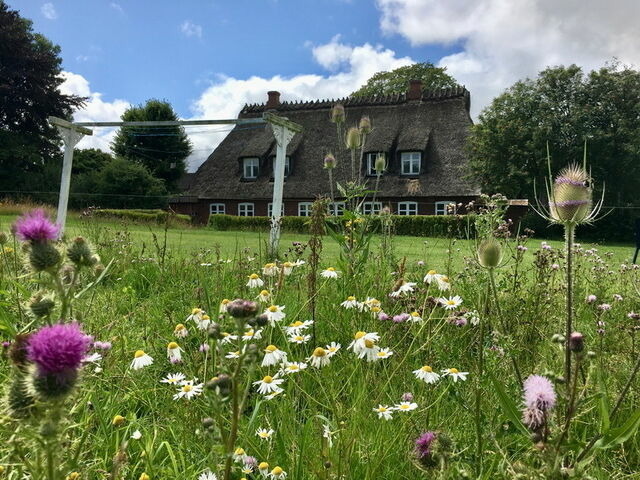Ferienwohnung in Gelting - Appartement Ost - Bild 7