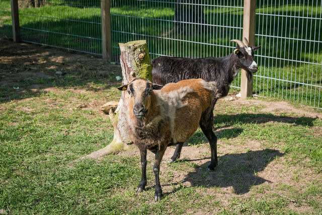 Ferienwohnung in Gr&ouml;mitz - Feldblick - Bild 11