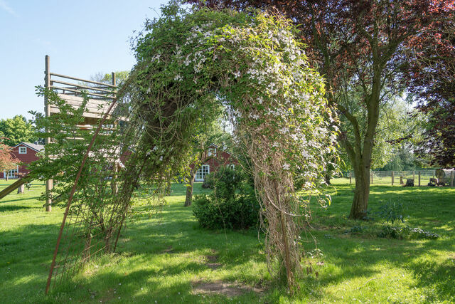 Ferienwohnung in Gr&ouml;mitz - Feldblick - Bild 20