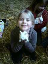 Ferienwohnung in Gr&ouml;mitz - Feldblick - Bild 23