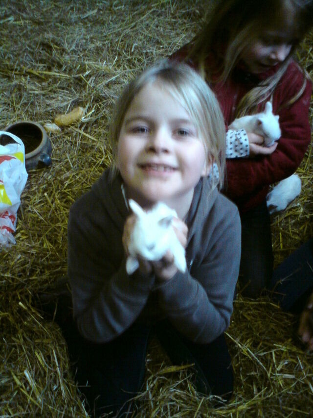 Ferienwohnung in Gr&ouml;mitz - Feldblick - Bild 23