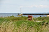 Ferienwohnung in Wendtorf - Marina Wendtorf Leuchtturmblick - Bild 18