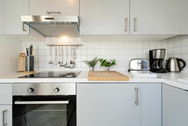 Ferienwohnung in Fehmarn OT Strukkamp - Strukkamp 4b Sonnen-Oase - Bild 14