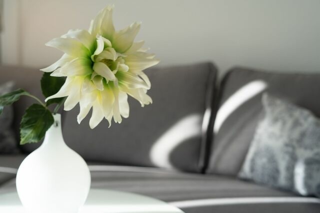 Ferienwohnung in Kellenhusen - Haus Seeblick Paul - Bild 8