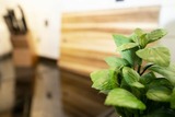 Ferienwohnung in Haffkrug - Beachtime - Bild 24