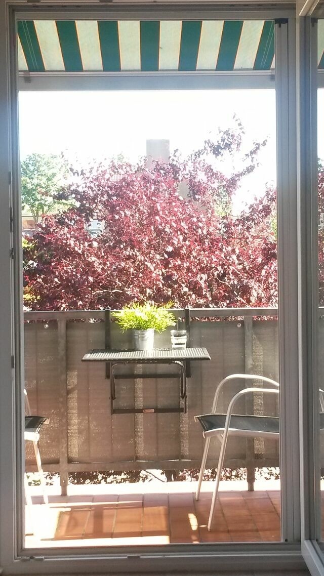 Ferienwohnung in Heiligenhafen - Ferienwohnung Alafia - Bild 3 Ferienwohnung in Heiligenhafen - Ferienwohnung Alafia - Bild 3