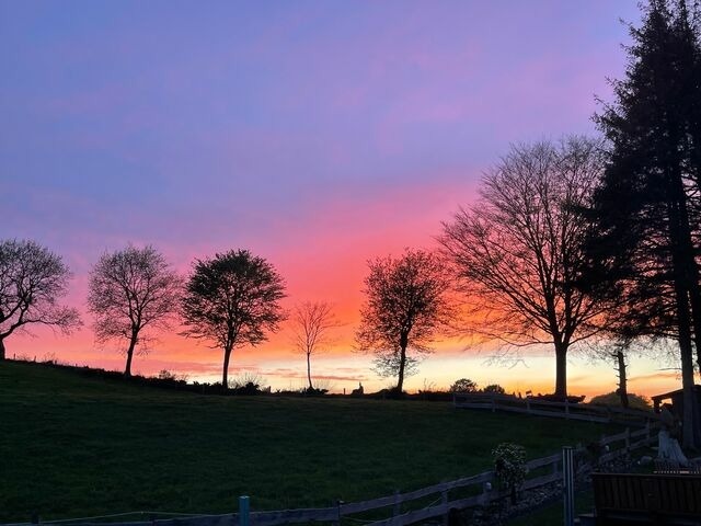 Ferienwohnung in Ascheffel - Wilsterberg FeWo "Kombi" - Bild 18