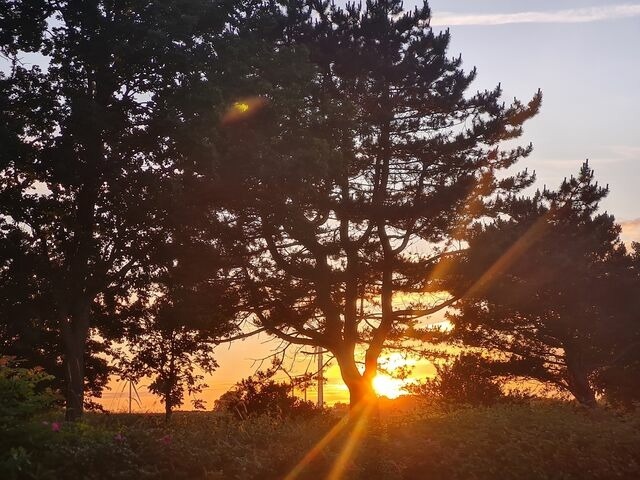 Ferienwohnung in S&uuml;ssau - Meerjungfrau - Bild 23