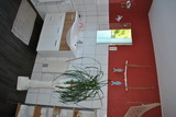 Ferienwohnung in Hagebök - Ferienwohnung Thiedmann - Bild 13
