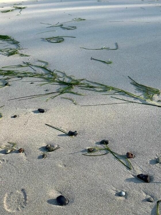 Ferienwohnung in Dranske - Kapitänskajüte am Bakenberg- D21 - Bild 10 Ferienwohnung in Dranske - Kapitänskajüte am Bakenberg- D21 - Bild 10