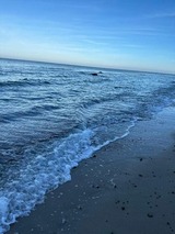 Ferienwohnung in Dranske - Kapitänskajüte am Bakenberg- D21 - Bild 25 Ferienwohnung in Dranske - Kapitänskajüte am Bakenberg- D21 - Bild 25