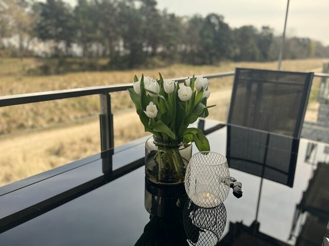 Ferienwohnung in Binz (Ostseebad) OT Prora - FeWo Strandloft in PRORA - 7.12 - Bild 24